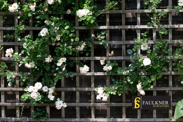 Can I put trellis on my Neighbours garage wall? 2 Do you want to adapt your neighbours garage door and add a trellis Sutton? Talk to Faulkner Surveyor Sutton